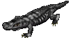 Krokodil.png