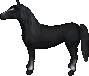 Rappe2.png