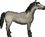 Wildpferd.png